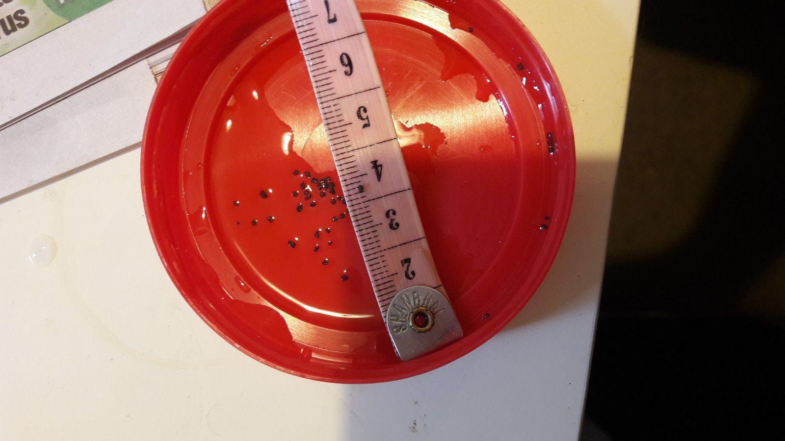 20201121_104531.jpg