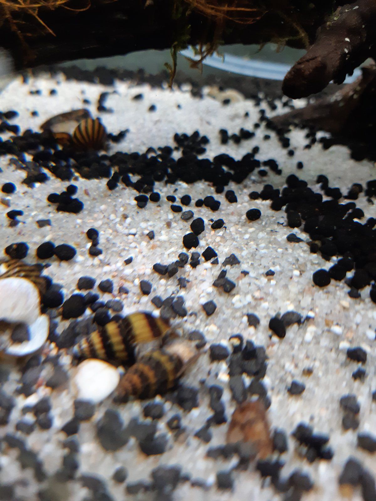 20201202_134746.jpg