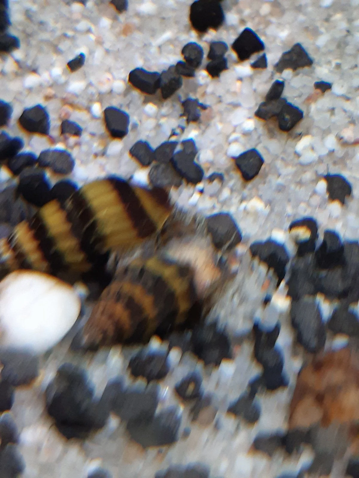 20201202_134825.jpg