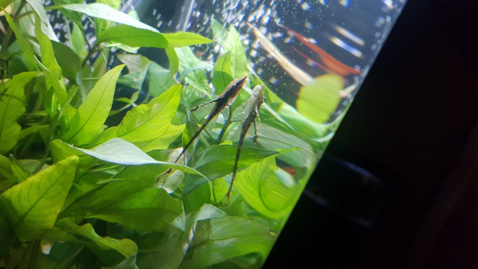 20201209_220439.jpg