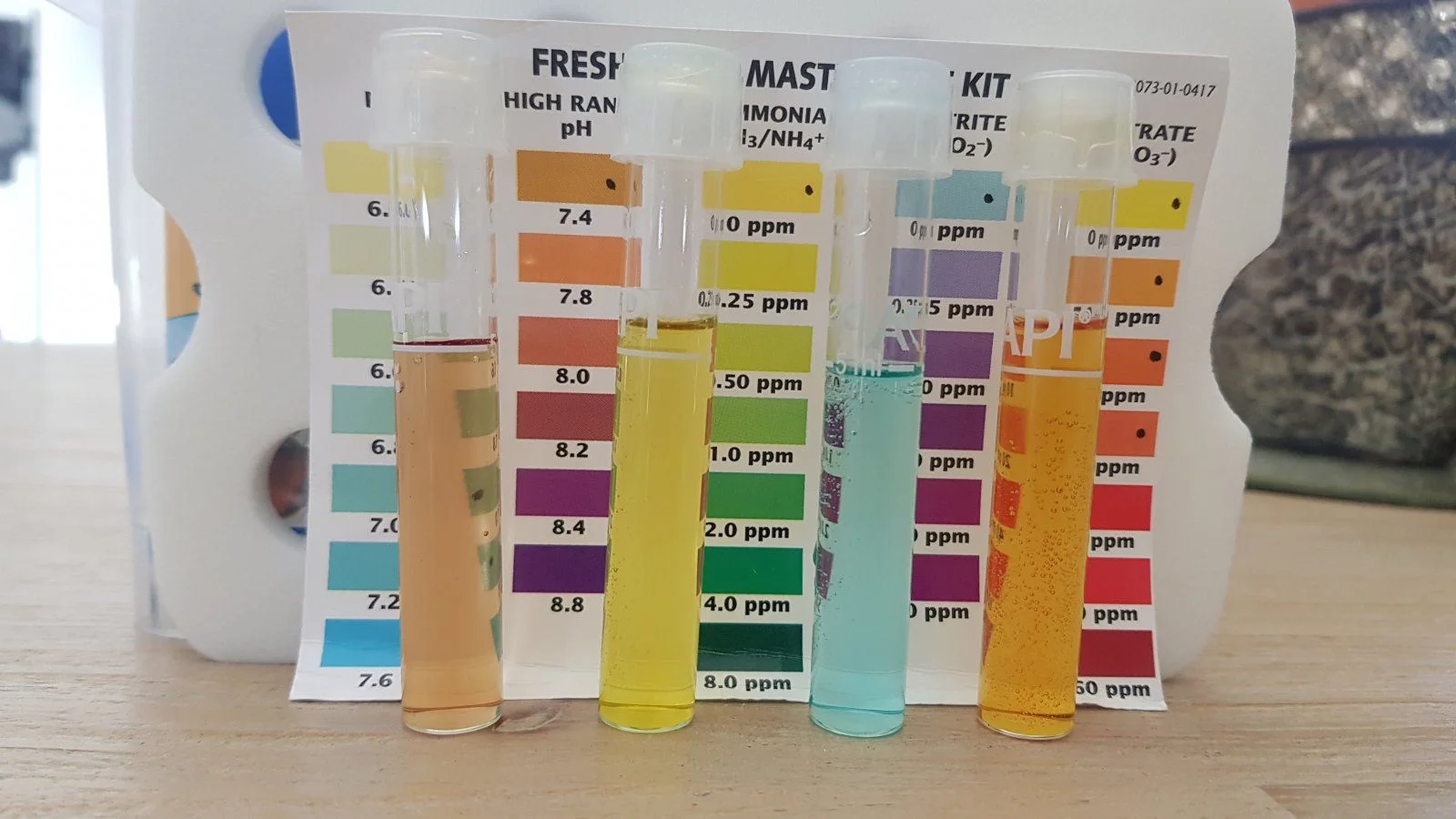20201210_151705.jpg