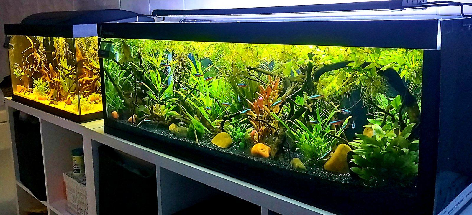 20201213_094735.jpg