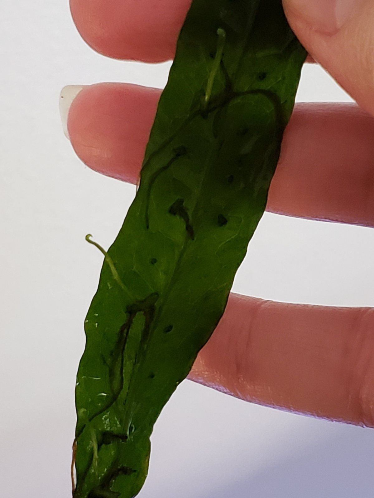 20201214_153635.jpg