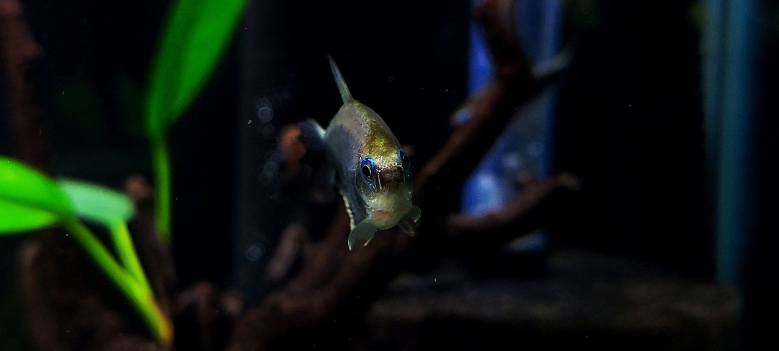 20201221_232026.jpg