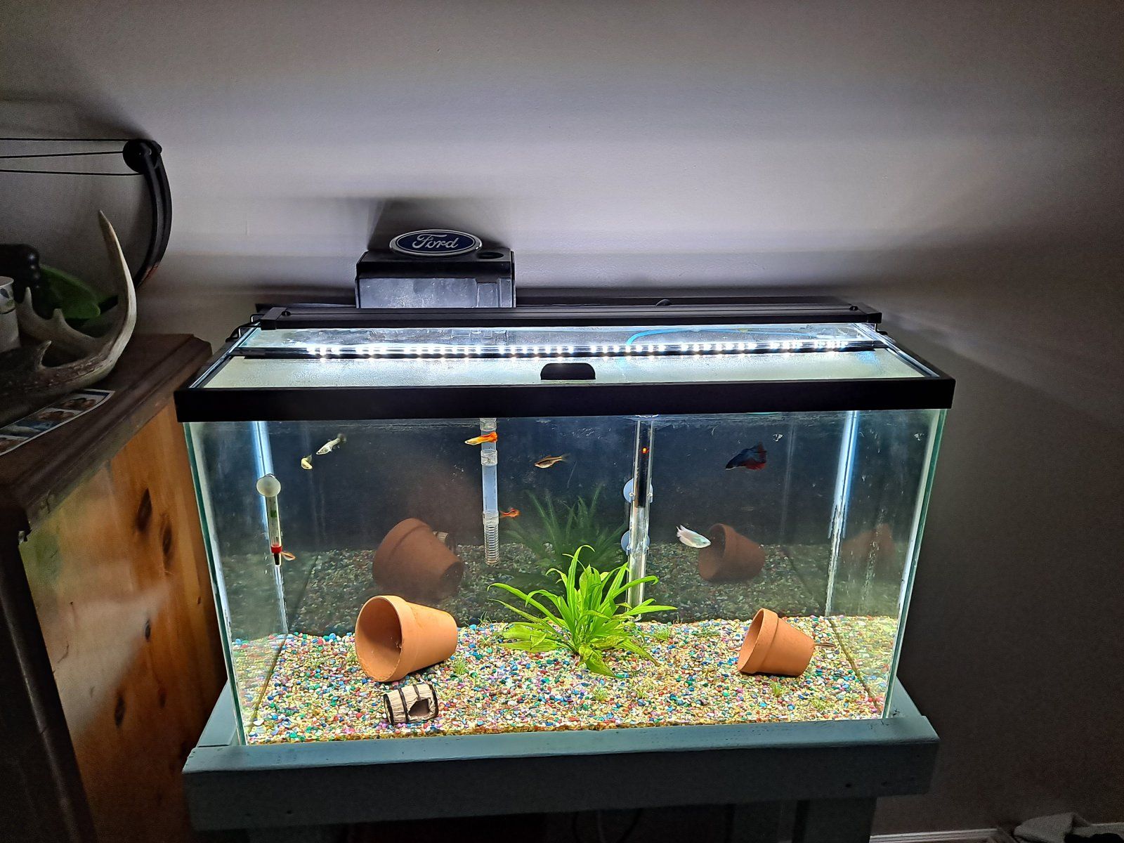 20201226_180553.jpg