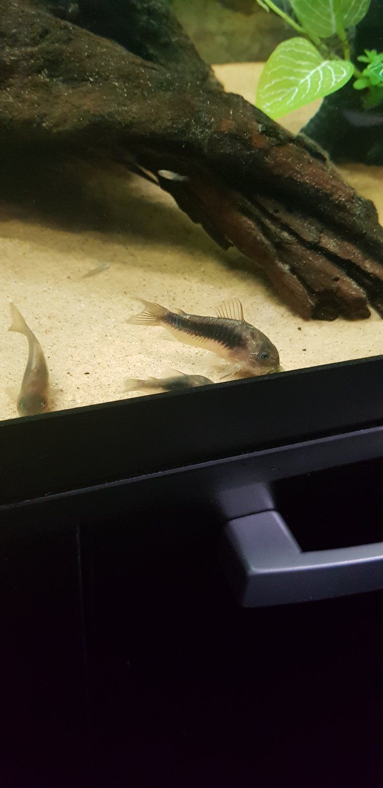 20201231_111322.jpg