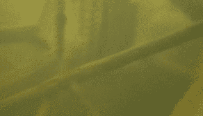 2021-05-08 14_17_02-Picture-in-Picture.png
