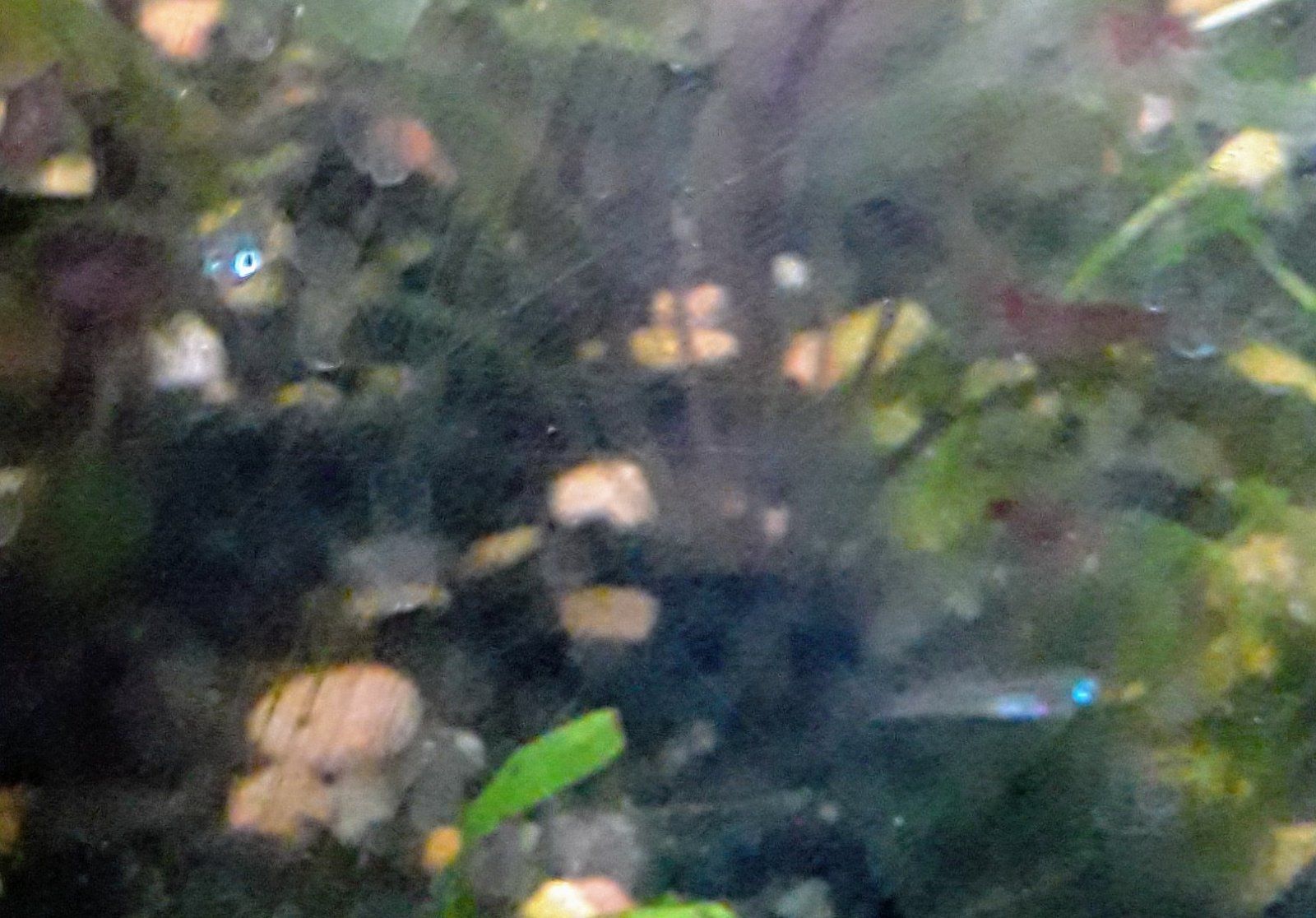 20210211_160039.jpg