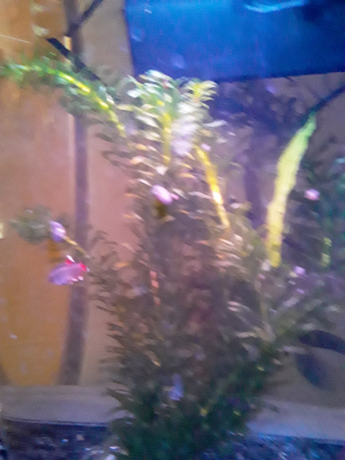 20210211_160133.jpg