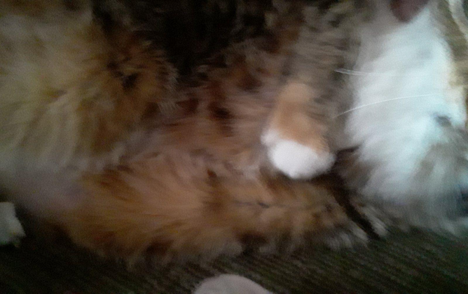 20210212_155144.jpg