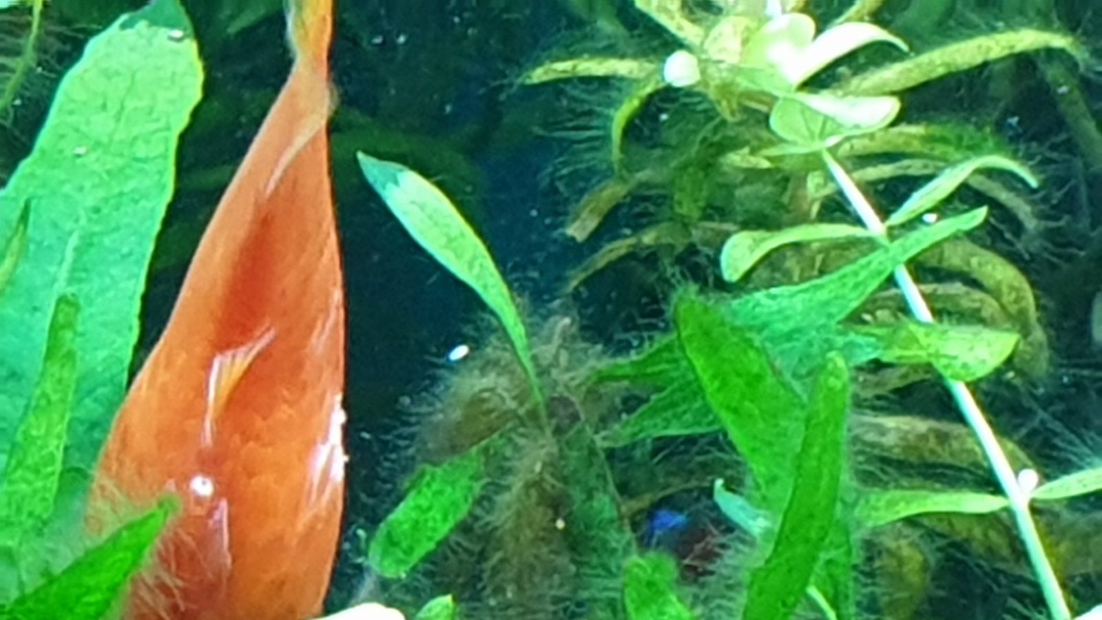 20210215_084119.jpg