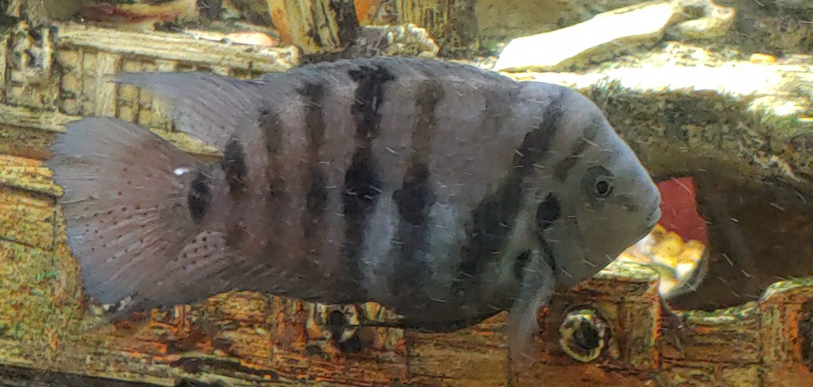 20210303_164432_HDR.jpg