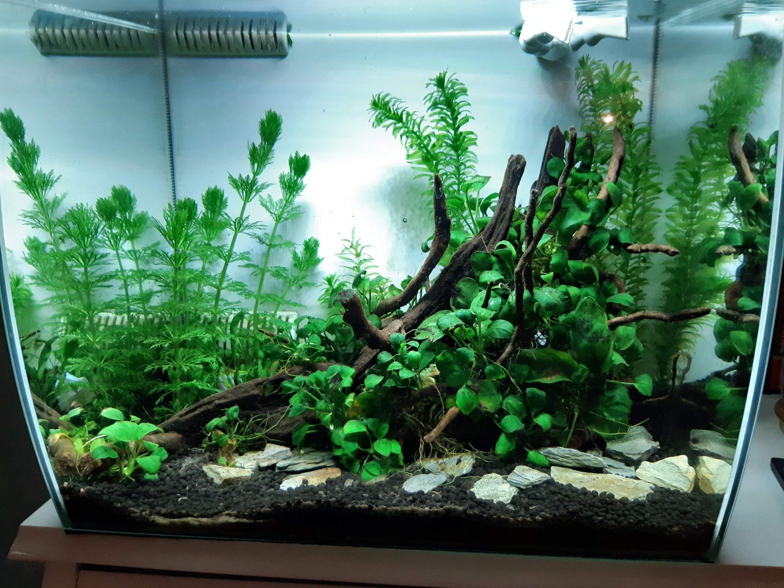 20210316_231636.jpg