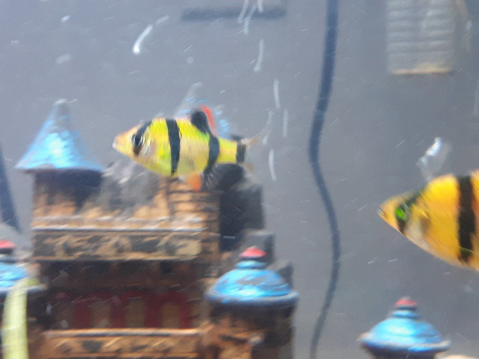 20210318_210911.jpg