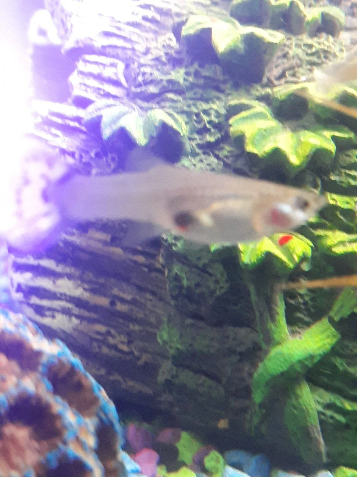 20210320_074831.jpg