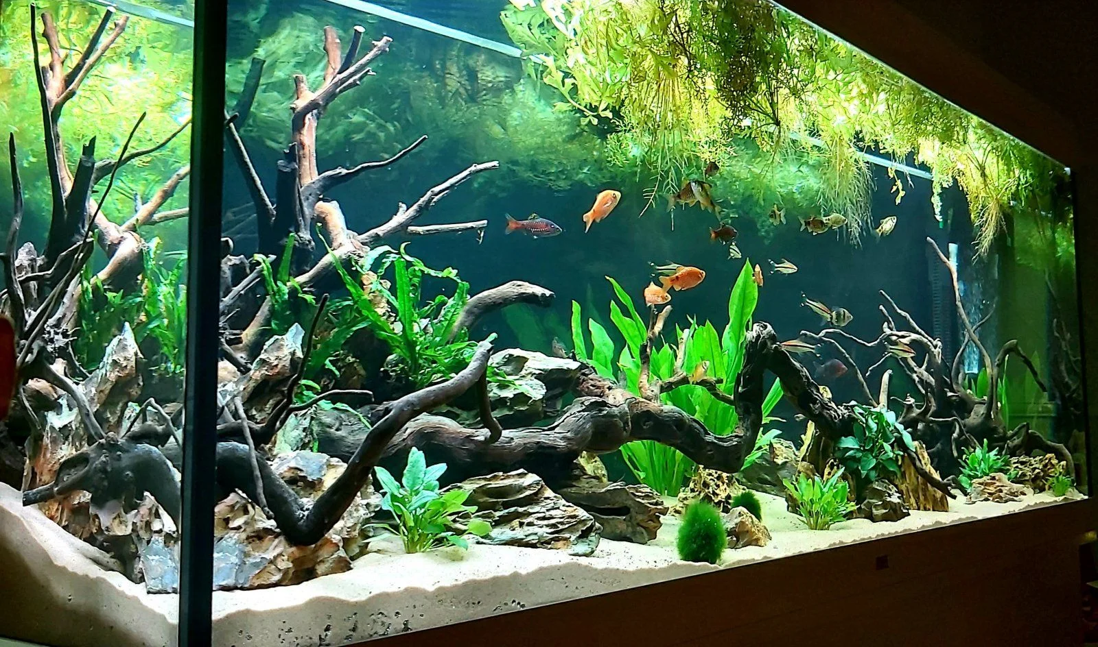 20210415_214751.jpg