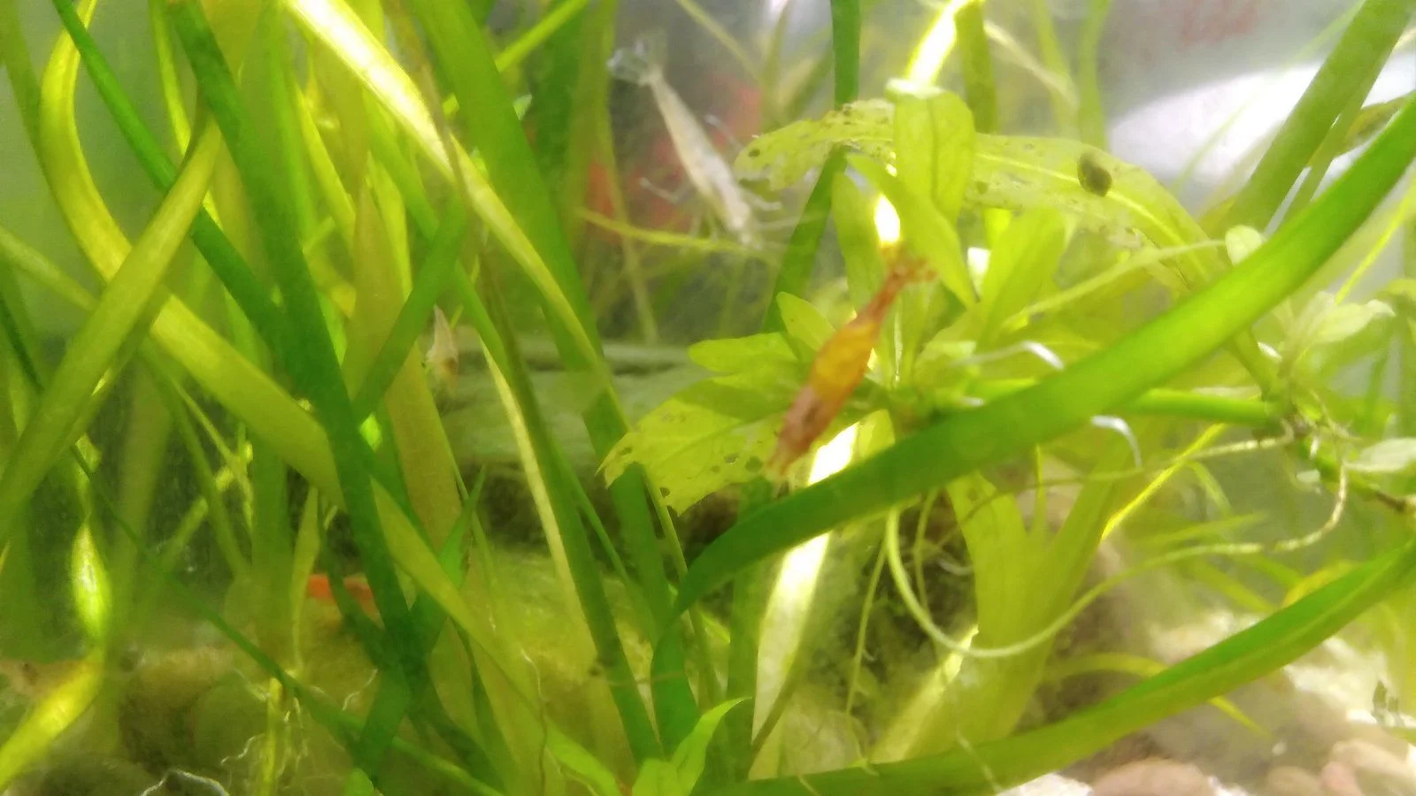 20210503_155733.jpg