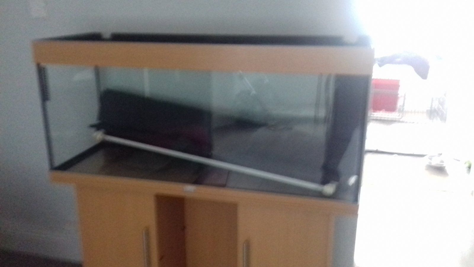 20210724_120630.jpg