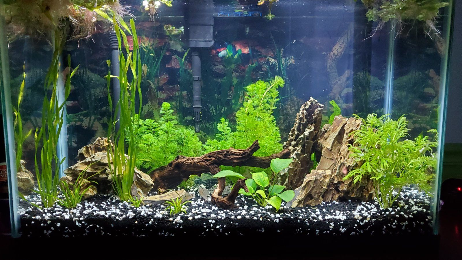 20210730_203059.jpg
