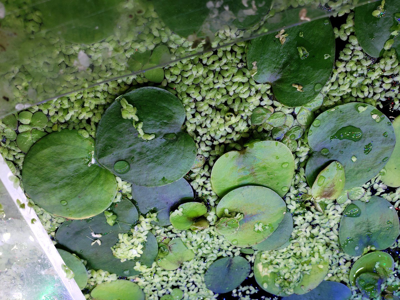 20210822_162040.jpg