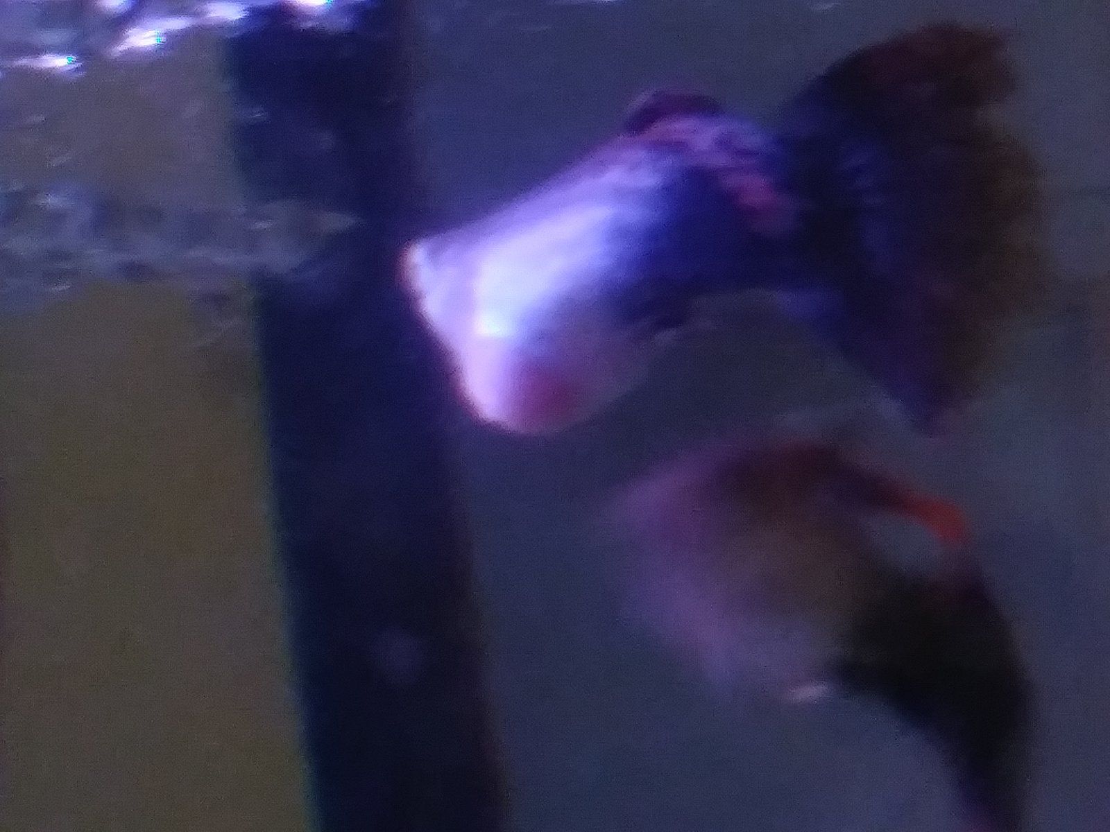 20210902_020411.jpg