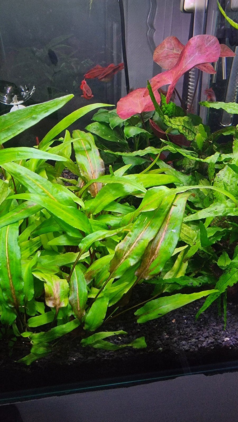 20210902_223251.jpg