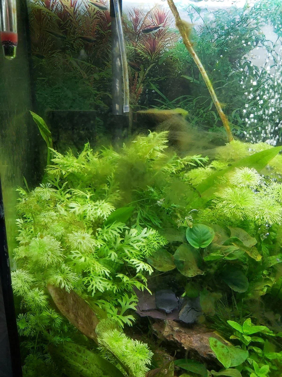 20211004_160451.jpg