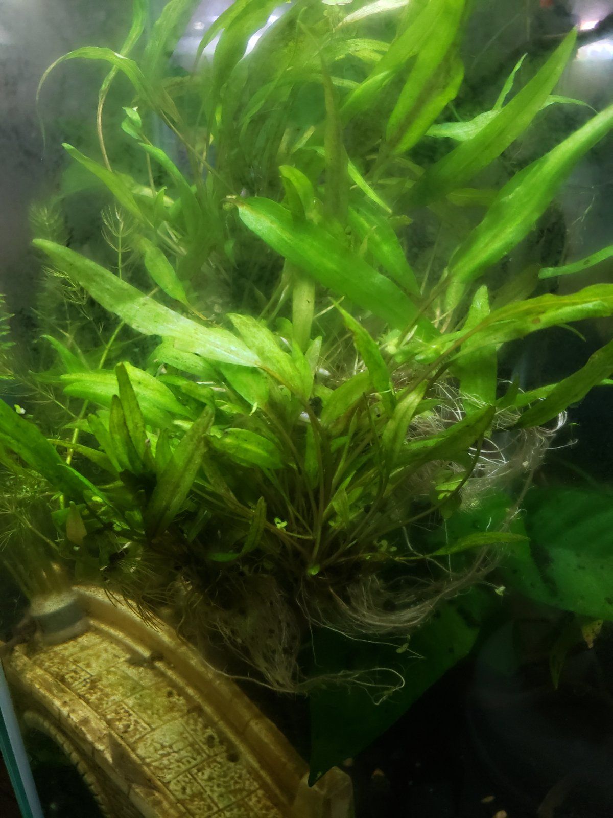 20211017_190043.jpg
