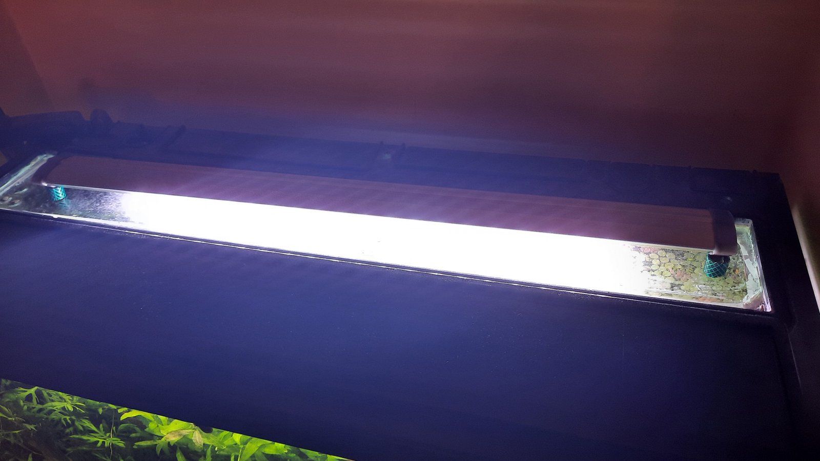 20211118_185713.jpg