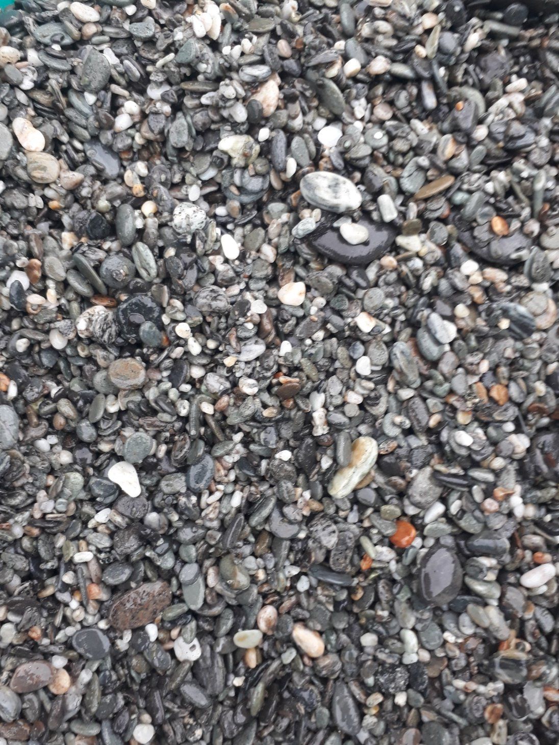 20211121_120858.jpg