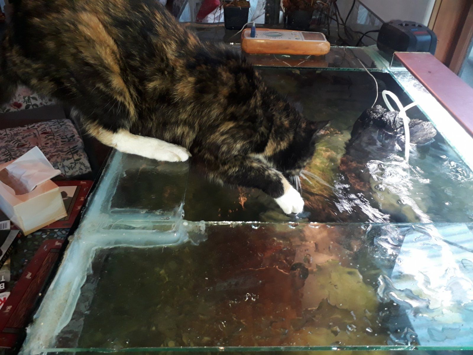 20211123_201630.jpg