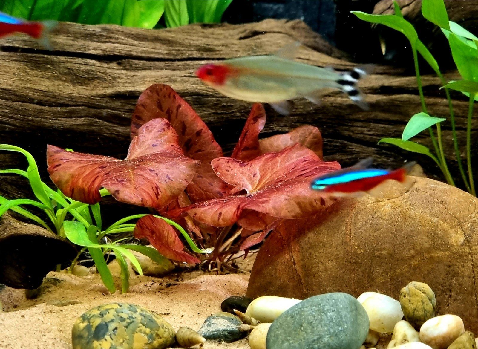 20220123_184807.jpg