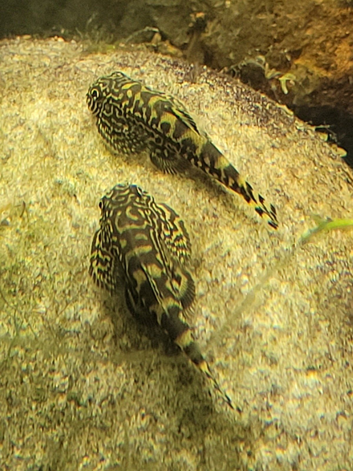20220127_085521.jpg