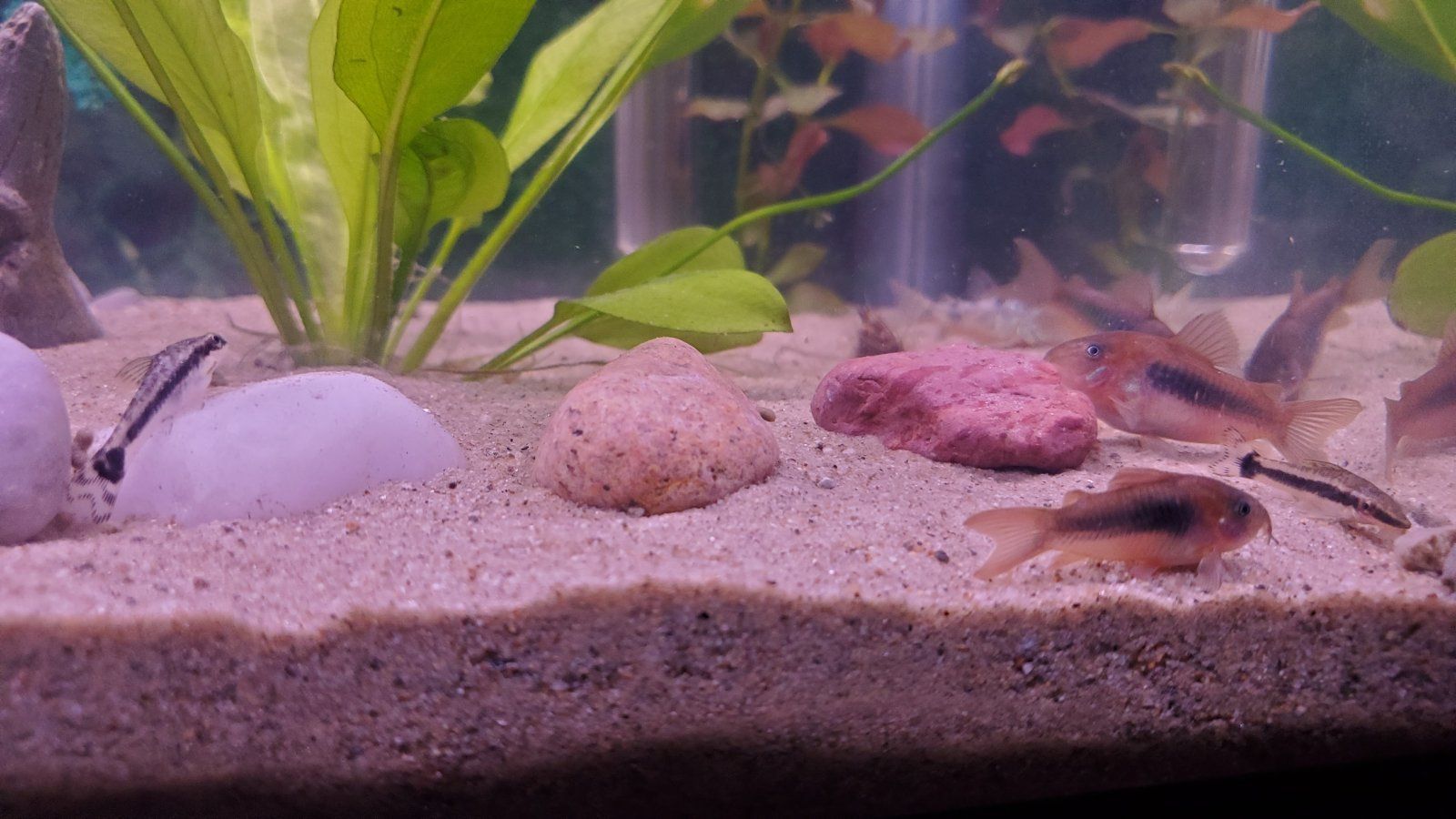 20220128_160343.jpg