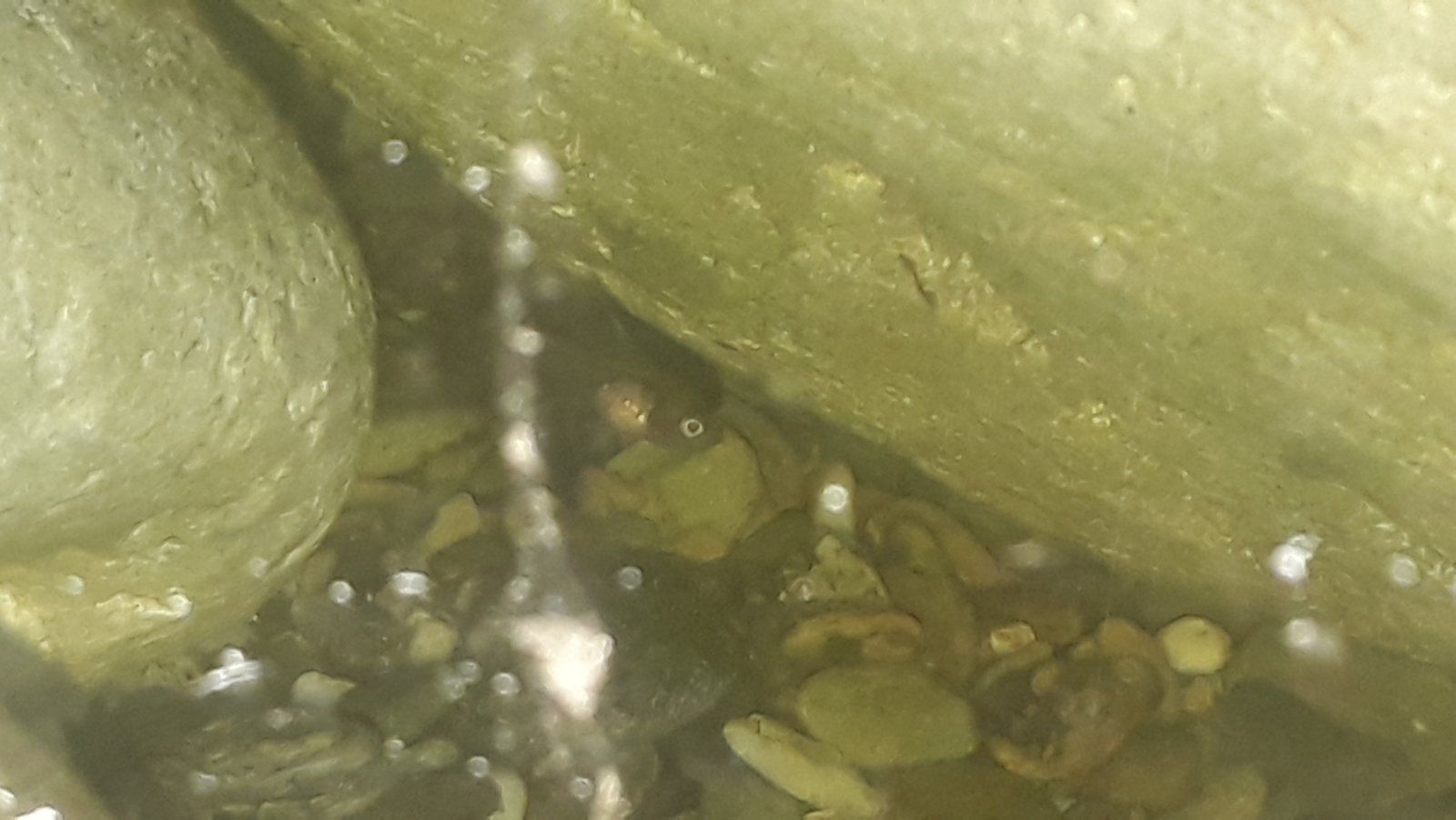 20220209_083718.jpg