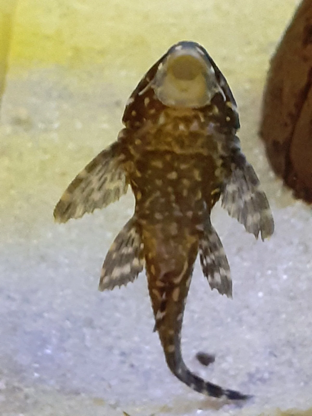 20220213_180426.jpg