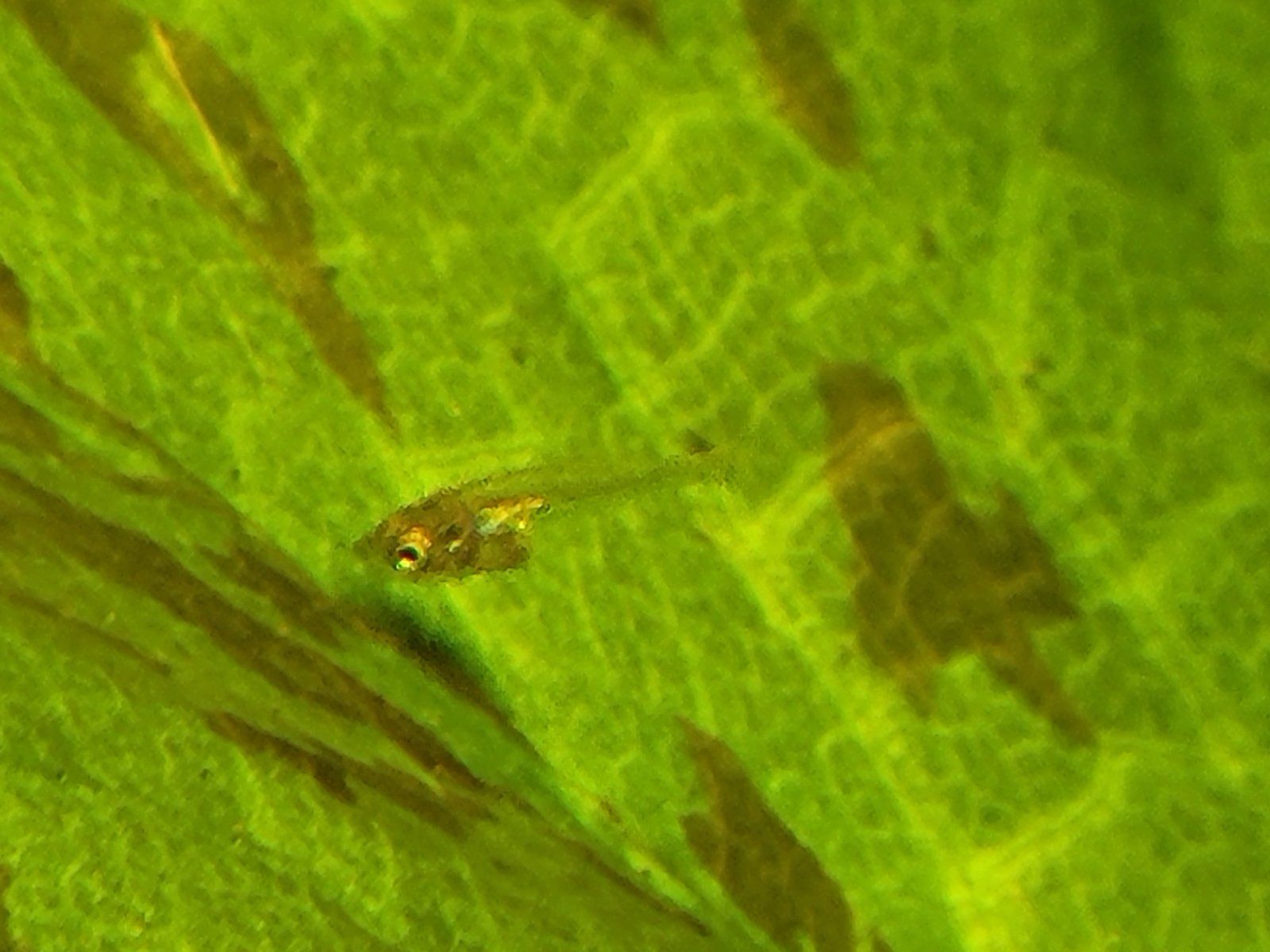 20220220_170835.jpg