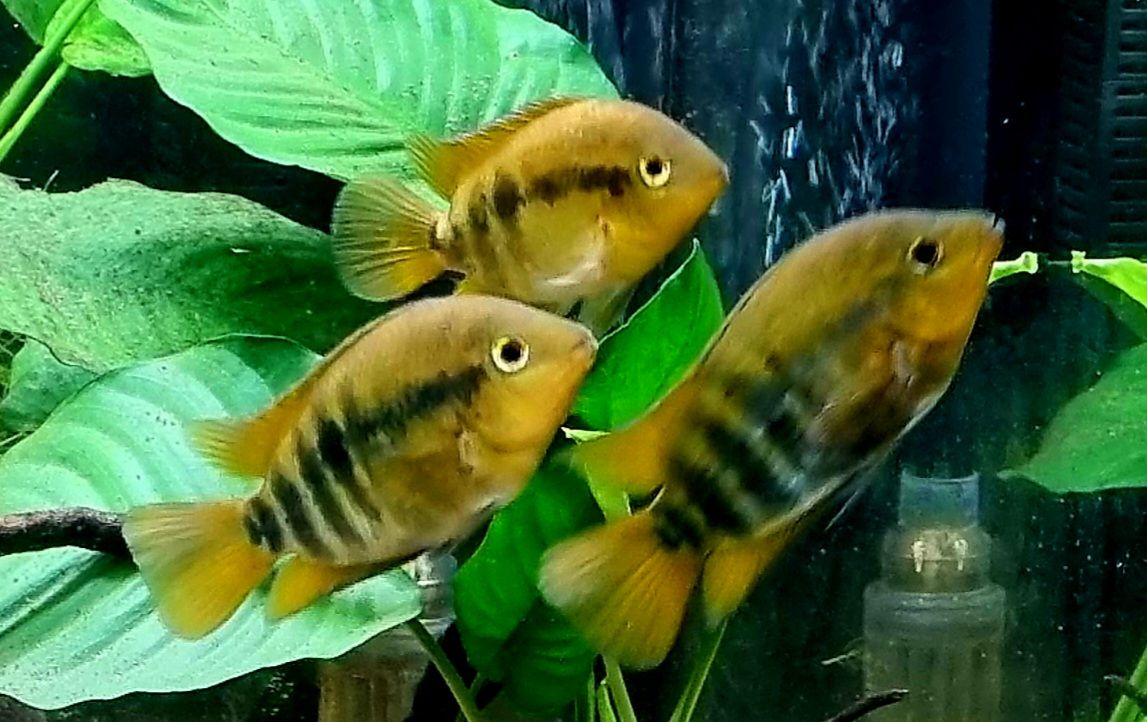 20220306_192623.jpg