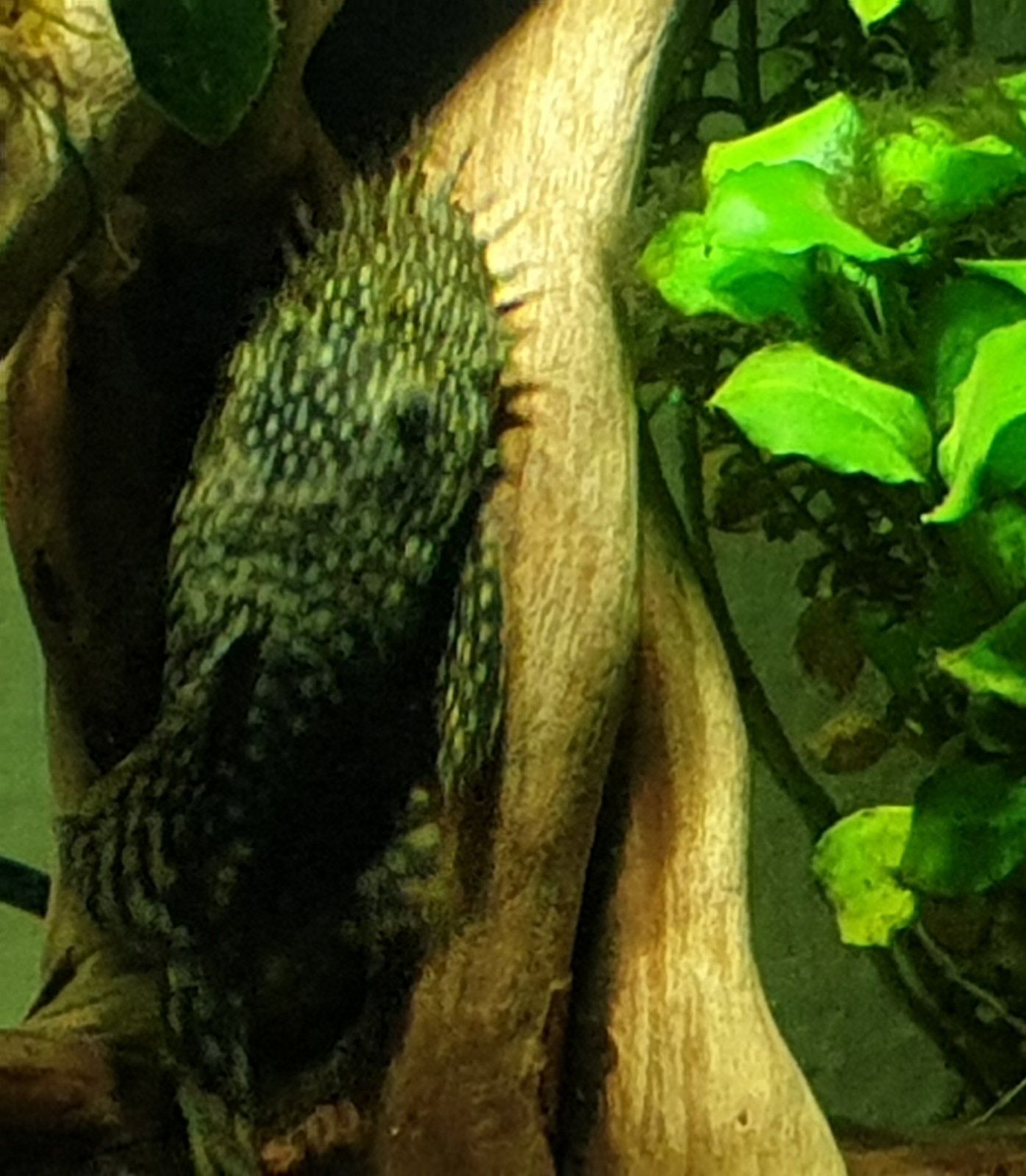 20220324_200444.jpg