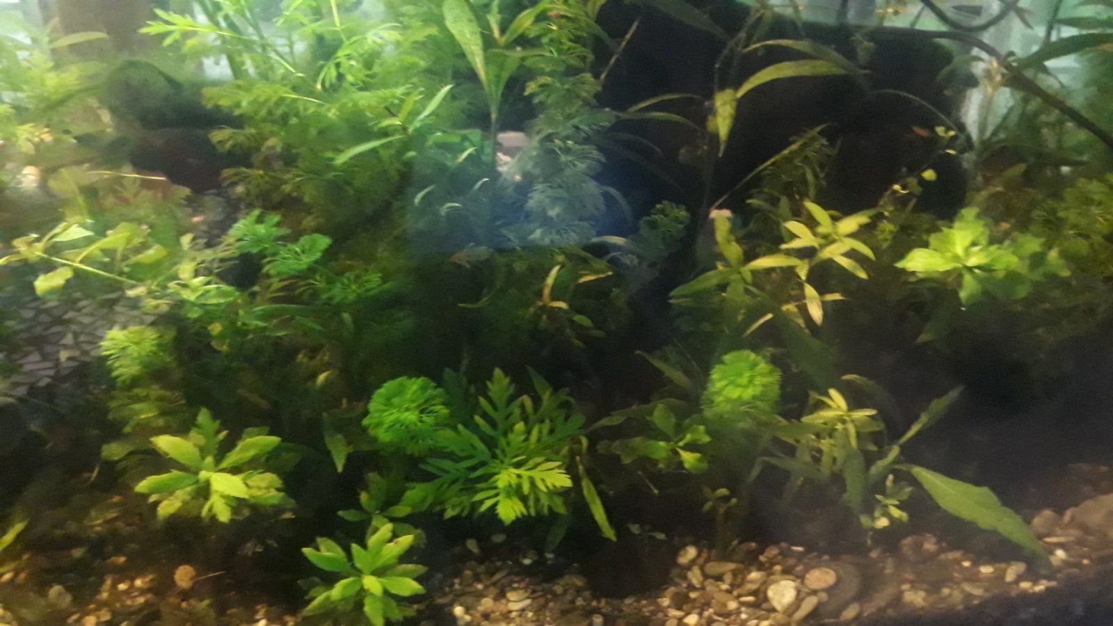 20220511_173028.jpg
