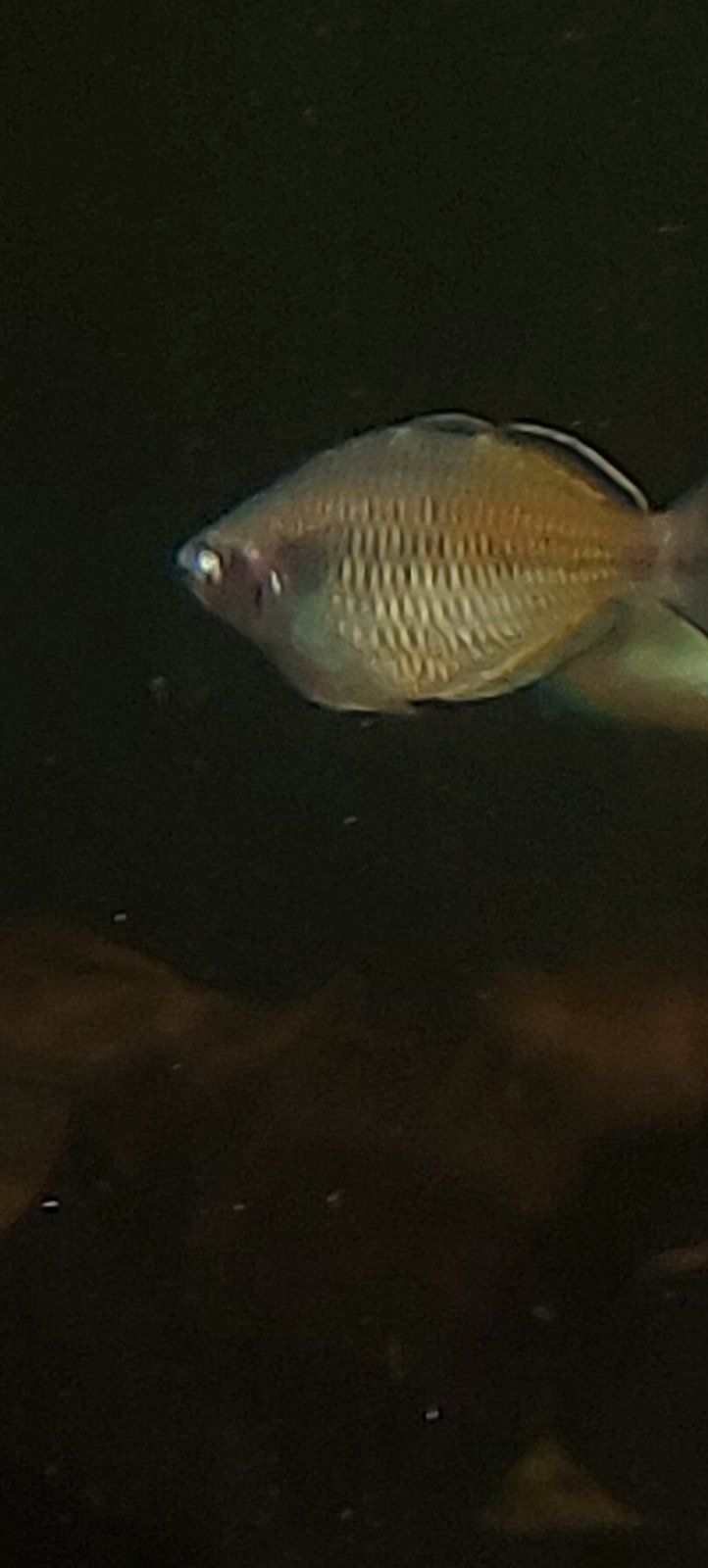20220511_222705.jpg