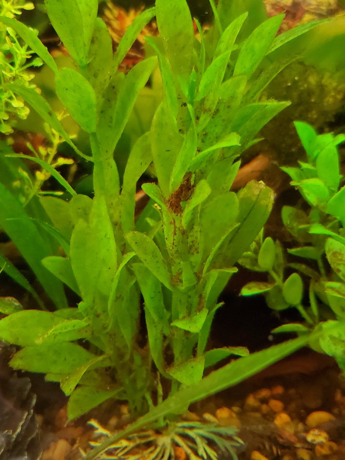 20220516_174702.jpg