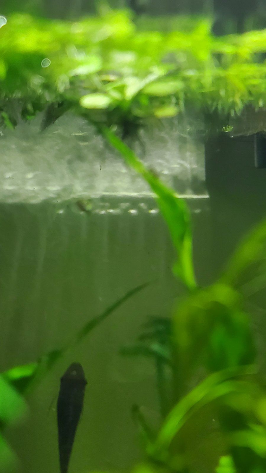 20220603_004850.jpg