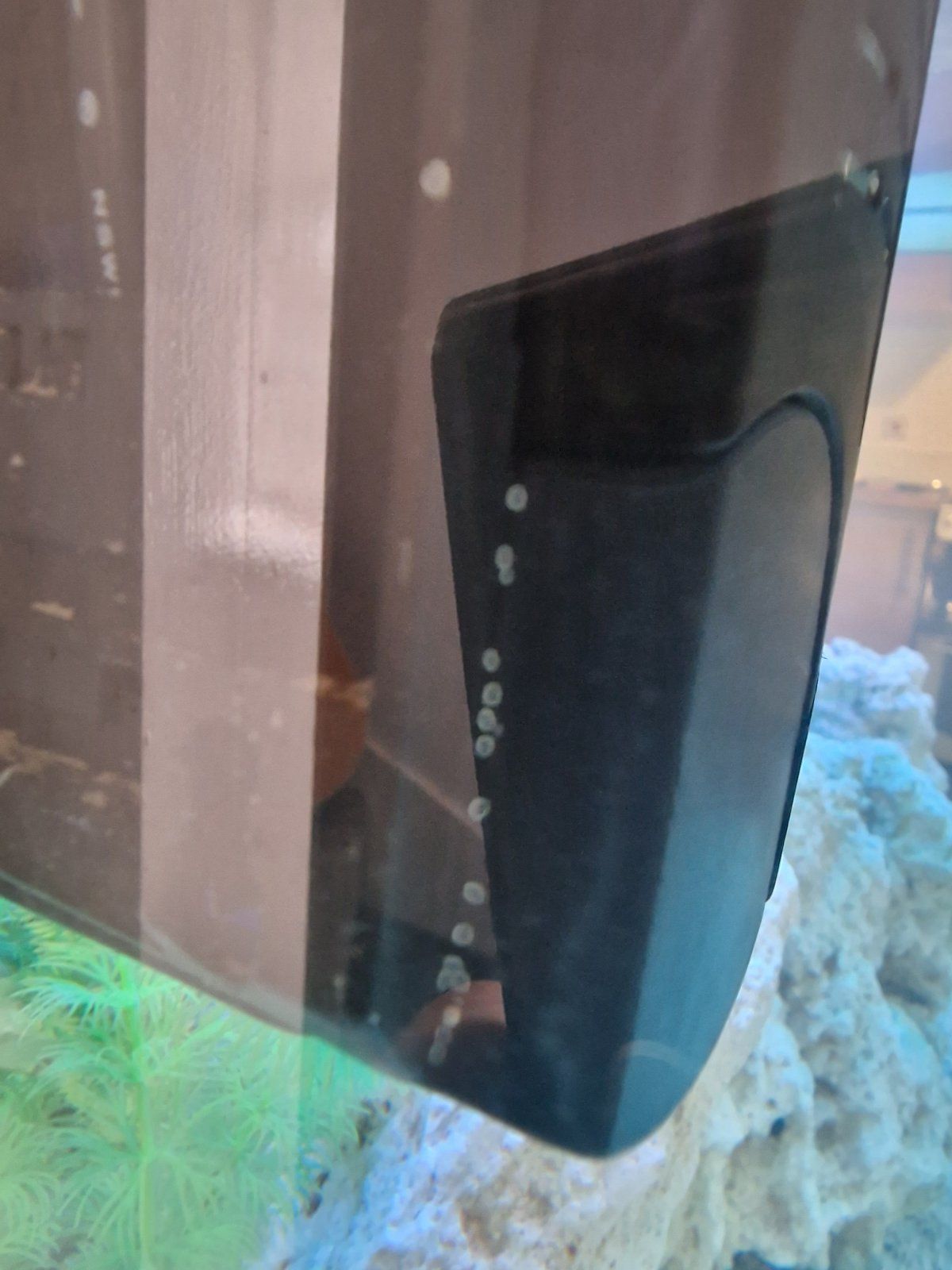 20220726_084436.jpg