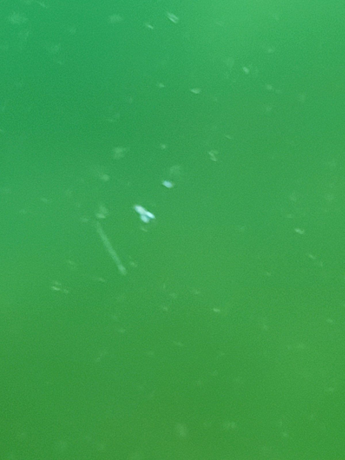 20220731_103449.jpg