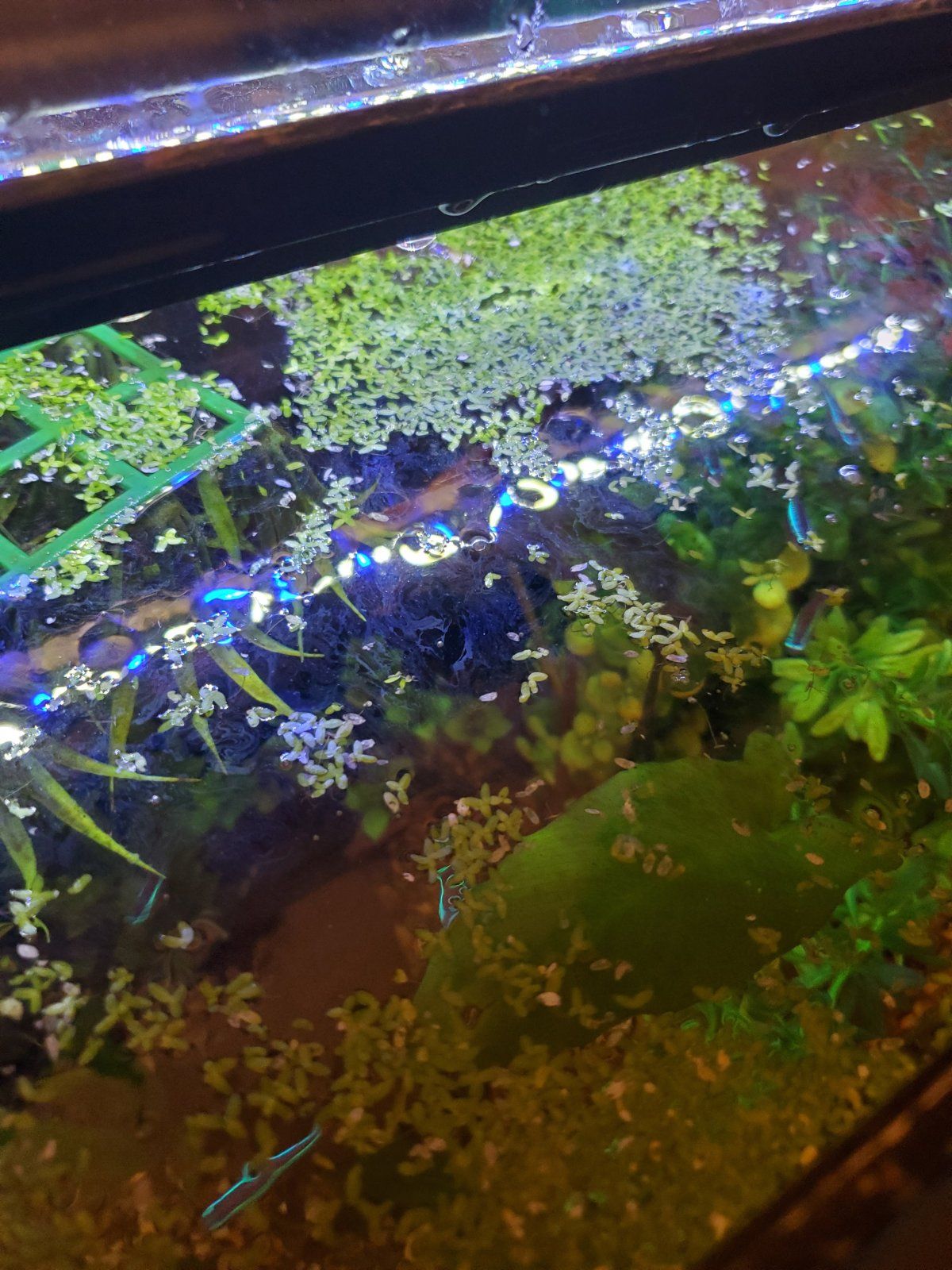 20220805_184341.jpg