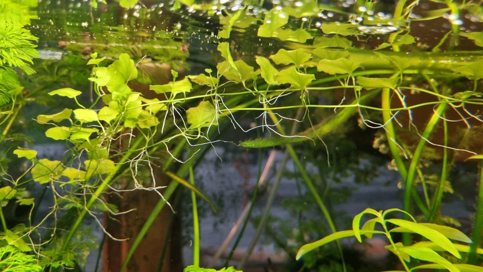 20220809_175254.jpg