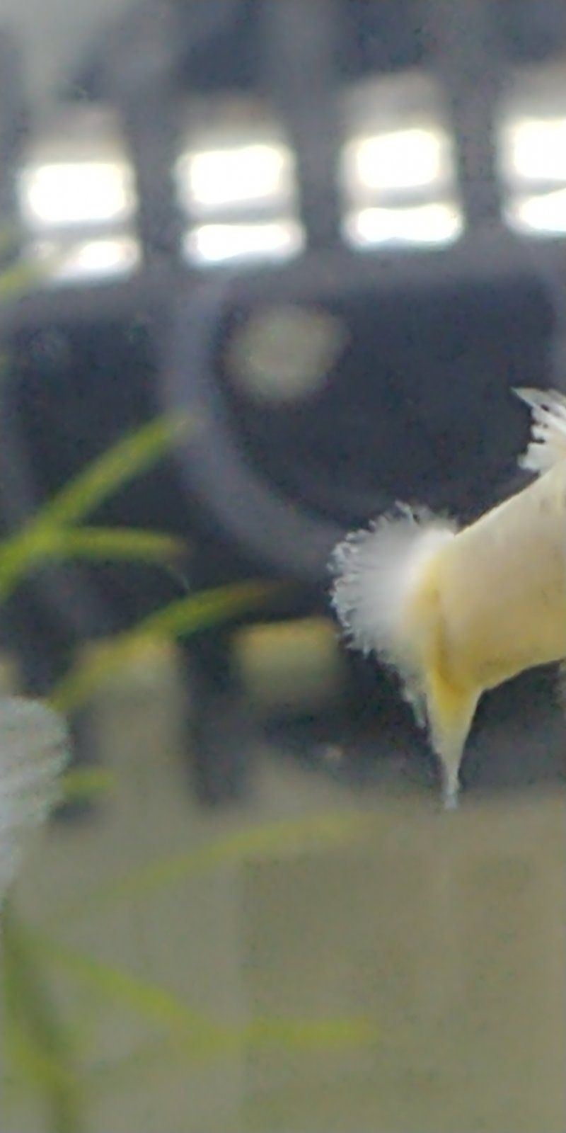 20220818_131523.jpg