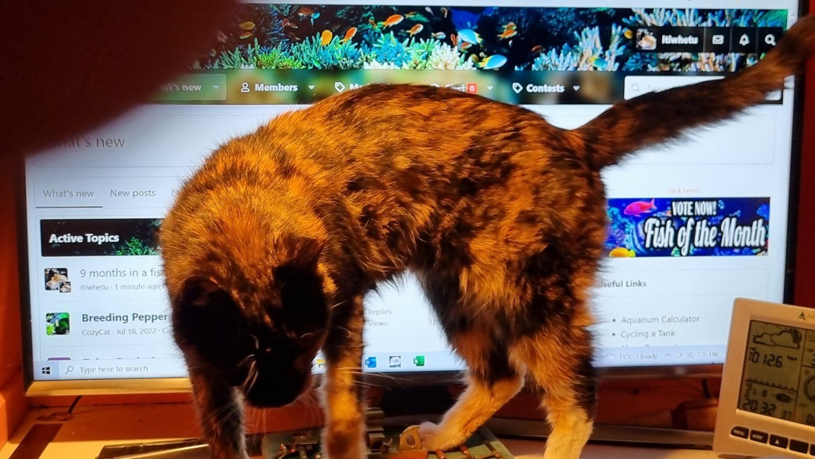 20220821_203321.jpg