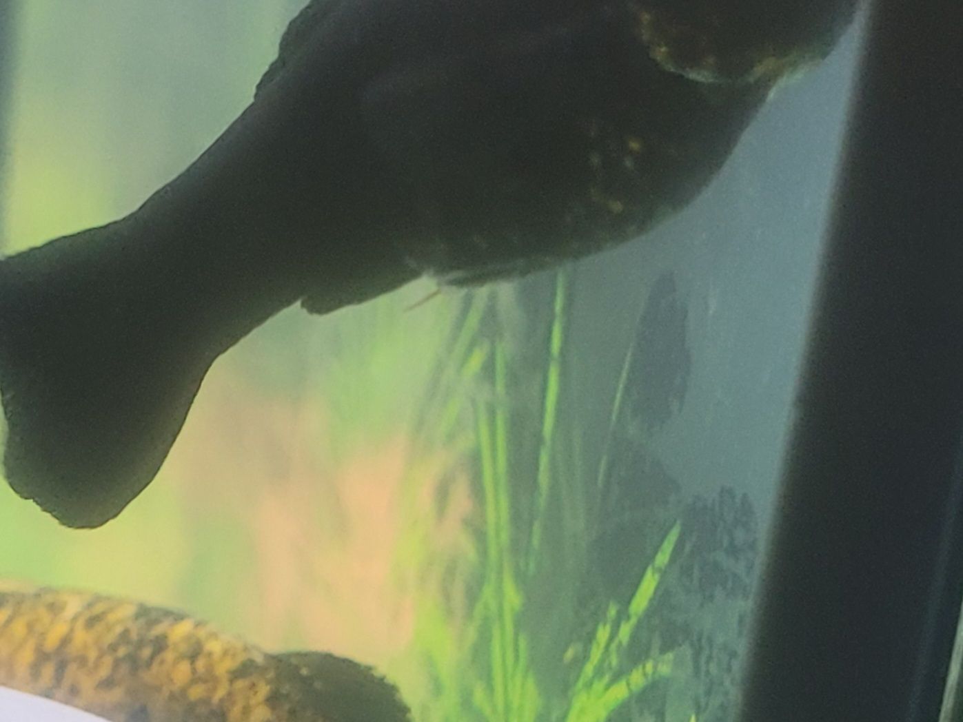 20220824_104223.jpg